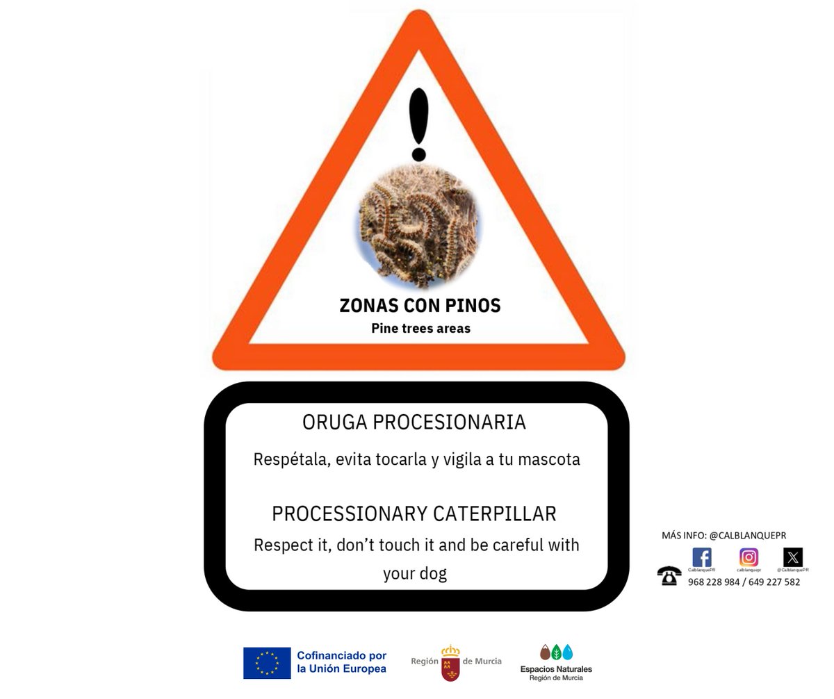 Parque Regional de Calblanque tweet media