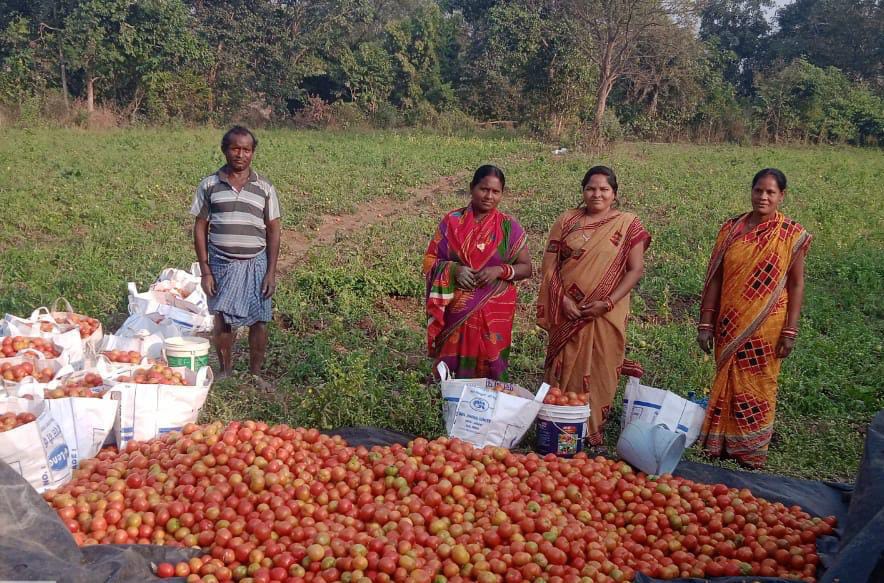 APC Program tweet media