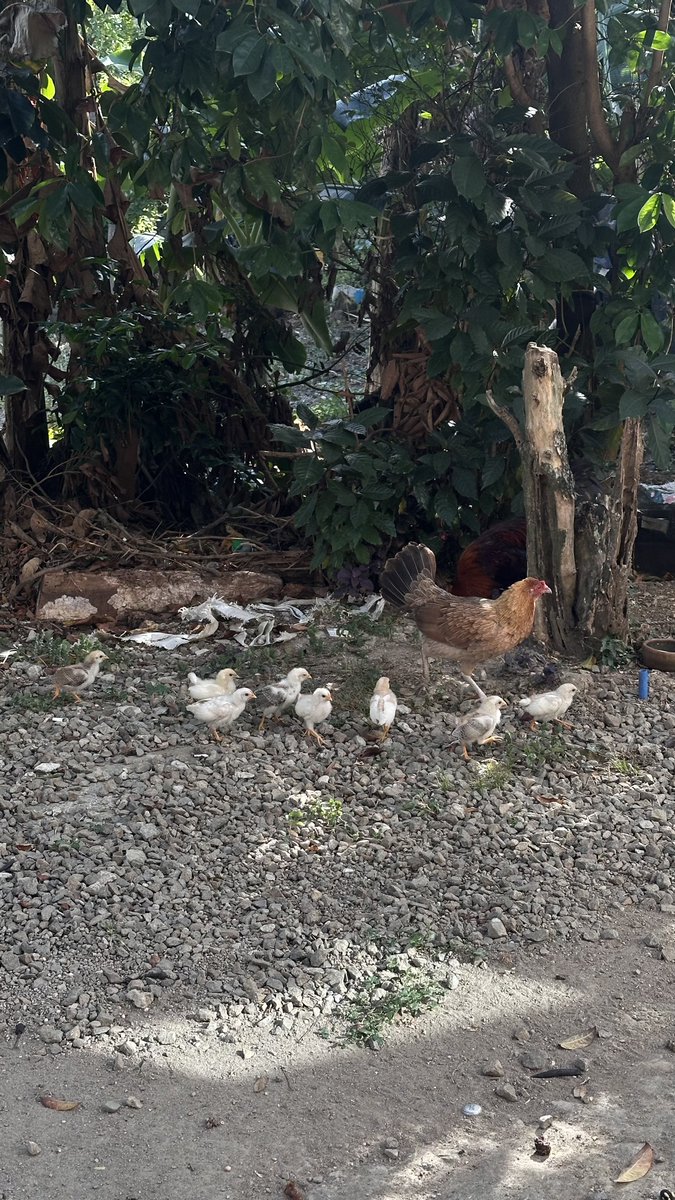 today im doing everything, but not work.