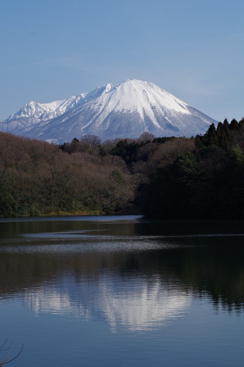 momotuyon's tweet image. こんばんは
今日も確定申告の準備…嫌々やってるから進まない💦
2016年2月11日の写真です
#TLを花でいっぱいにしよう
#pentax #ks2
#NOKTON58mm