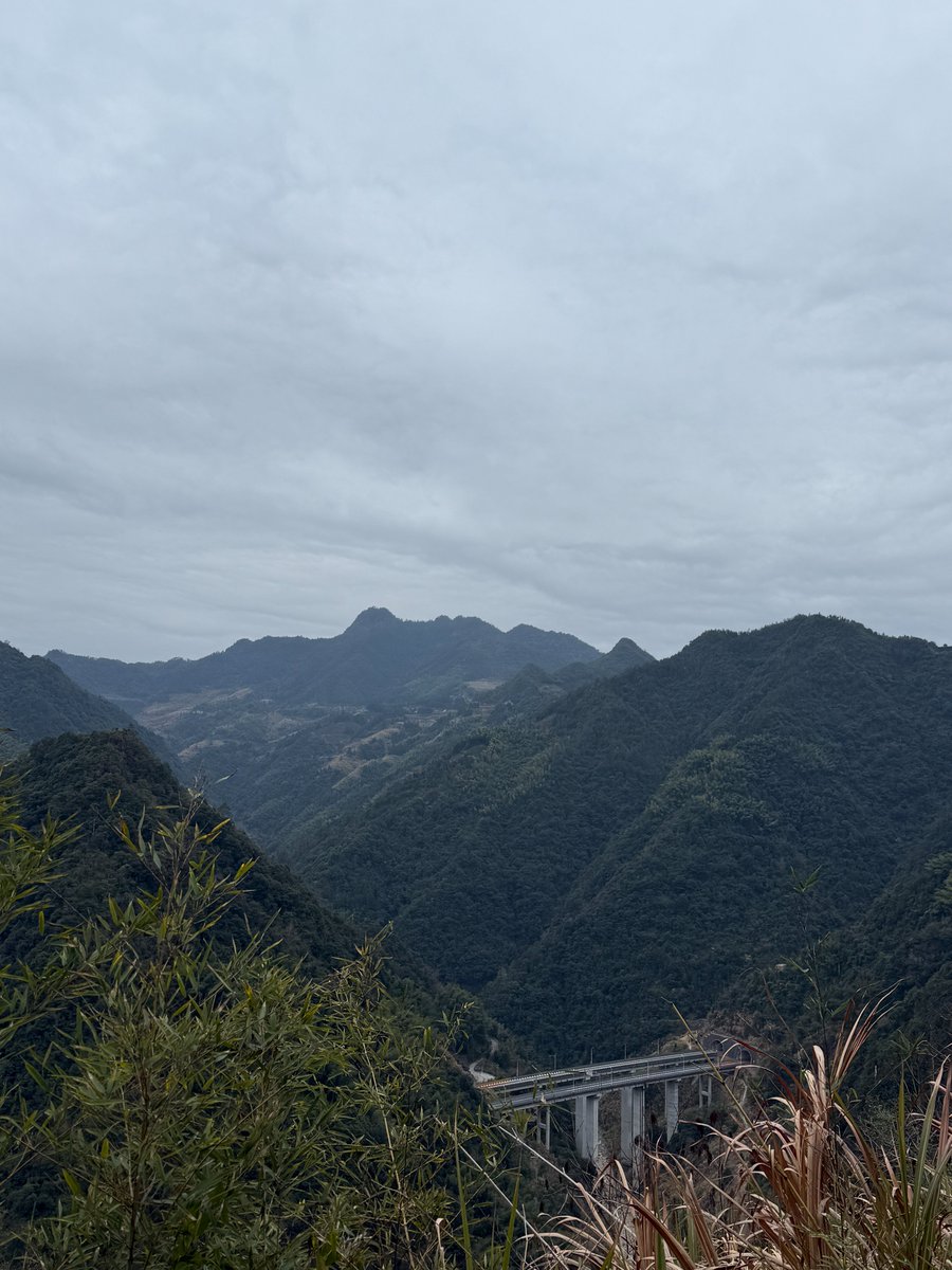 一直在等 $RIVER 跌到心理价位再上车，结果一觉醒来车跑没影了，只剩我原地懵逼😂

忍不住去翻了翻官方账号 <a href="/RiverdotInc/">River</a>  <a href="/River4fun/">River4FUN 🐝</a> 

🔸官网/docs 2月确实安静，没啥大公告
🔸社区超活跃： <a href="/River4fun/">River4FUN 🐝</a>   每周TOP10 creators榜照
杀，<a href="/drarjantit/">Arjantit</a> <a href="/FabiusDefi/">Fabius DeFi</a> 前排咬得死紧，可见大家对