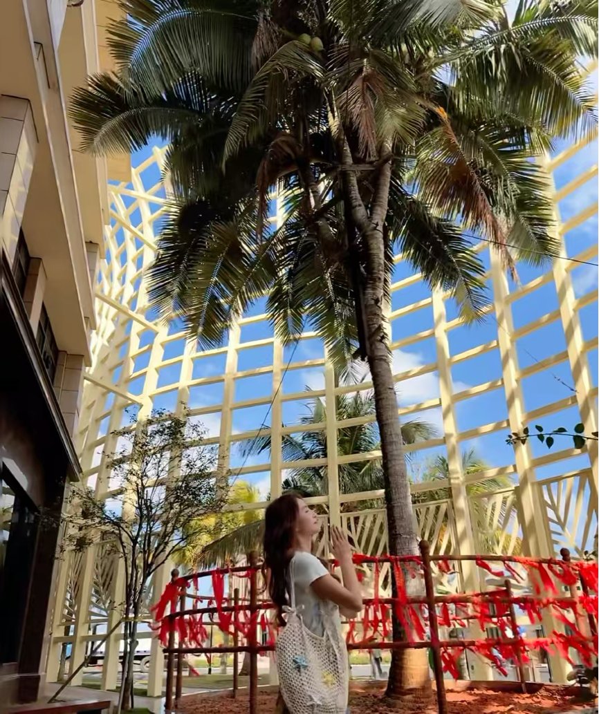 HainanToday's tweet image. Wish Upon a #Coconut! Wenchang’s Four Auspicious #Blessings! Looking for Year of the Horse blessings? Come to #Wenchang! These special coconuts blend local coconut culture with 4 classic blessings — fortune, prosperity, longevity and joy. Touch the symbols, make a wish, and let