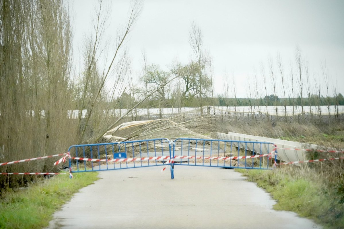🤝 El Ayuntamiento de #Badajoz a través del Instituto Municipal de Servicios Sociales #IMSS atiende sobre el terreno a las familias afectadas por las inundaciones y las borrascas, especialmente en las pedanías.

📝 El decreto de zonas afectadas permitirá la tramitación de ayudas