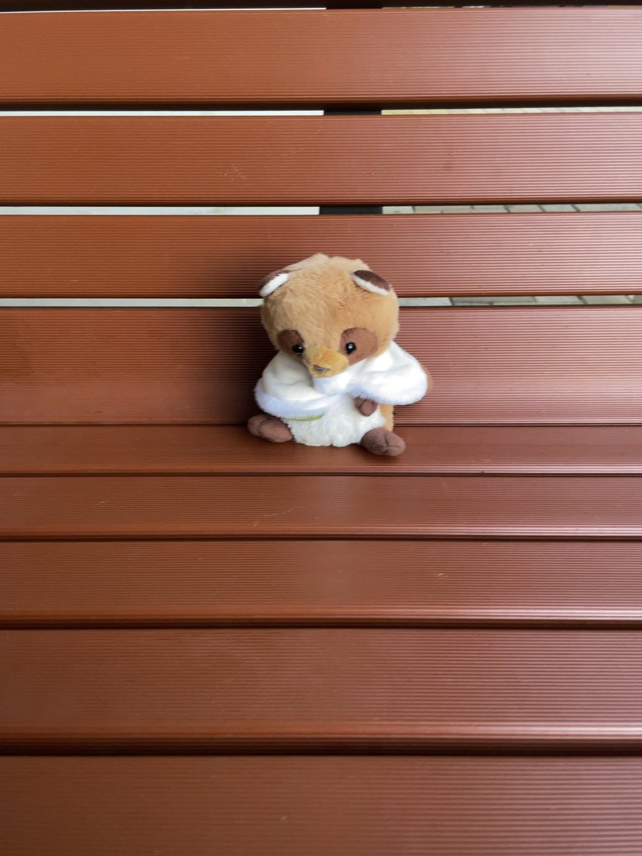 たぬきさん、あとちょっとでバスくるから、もうちょっとだけ待っててね！
寒かったから帰ったらお風呂入ろうね！