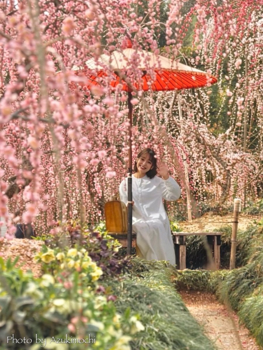 さくら📷咲良 (@sakura555_923) / Posts / X