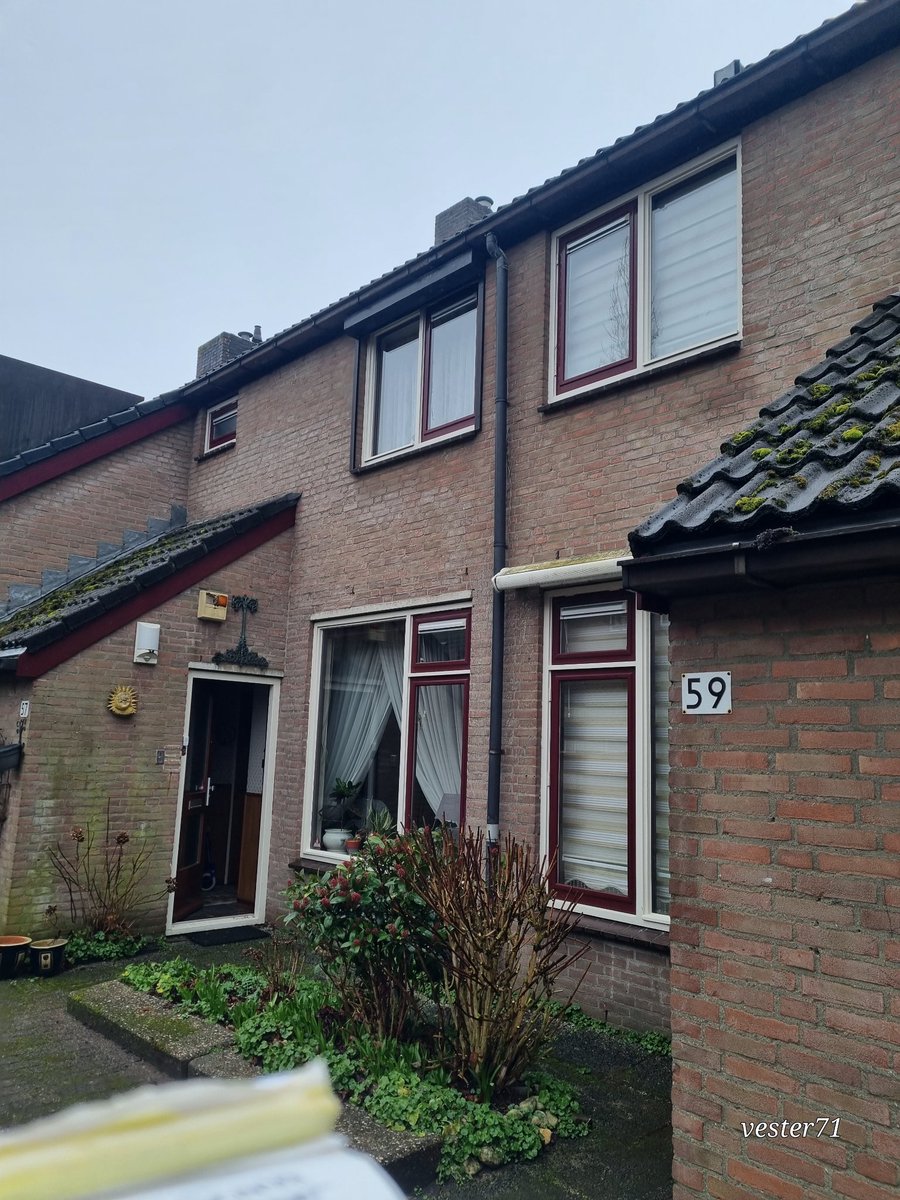 vester71 tweet media