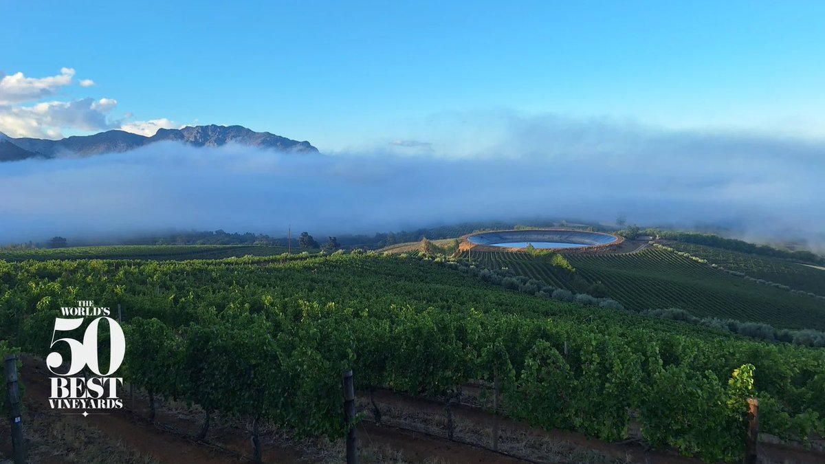 Tokara Wine & Olive Farm tweet media