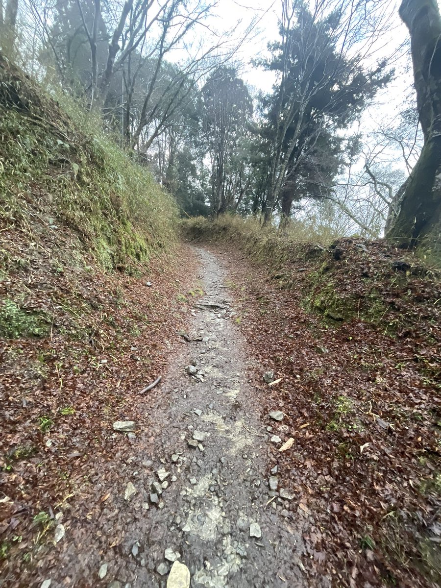 本日も資格の講習会で人気の少ないお山へ。頼みのロープウェイがまさかのお休みで山道登り下り徒歩往復、いろんな意味で怖かった！　先月に続き足ガクガク😓