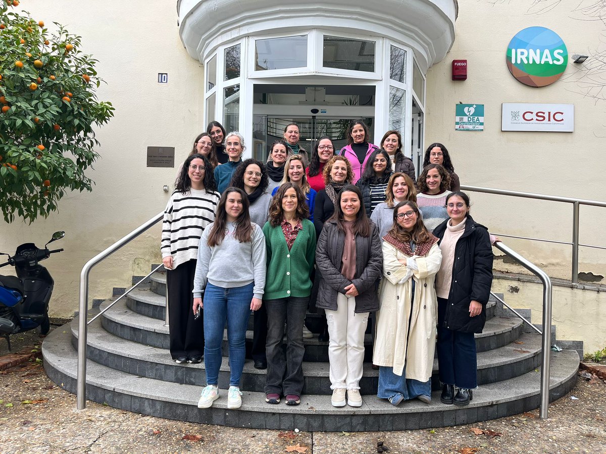 IRNAS Sevilla tweet media