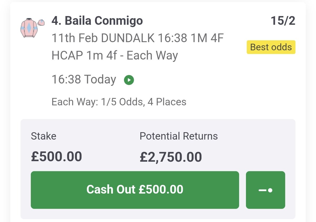 Oisins Horse Info tweet media