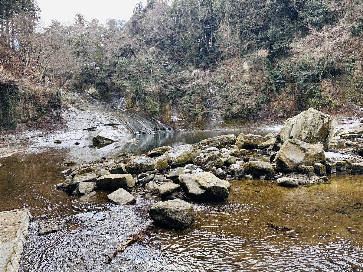 杜海玲/中国語 文筆•翻訳家 tweet media