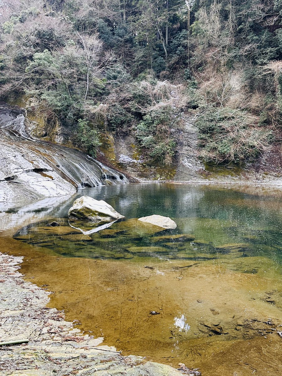 杜海玲/中国語 文筆•翻訳家 tweet media