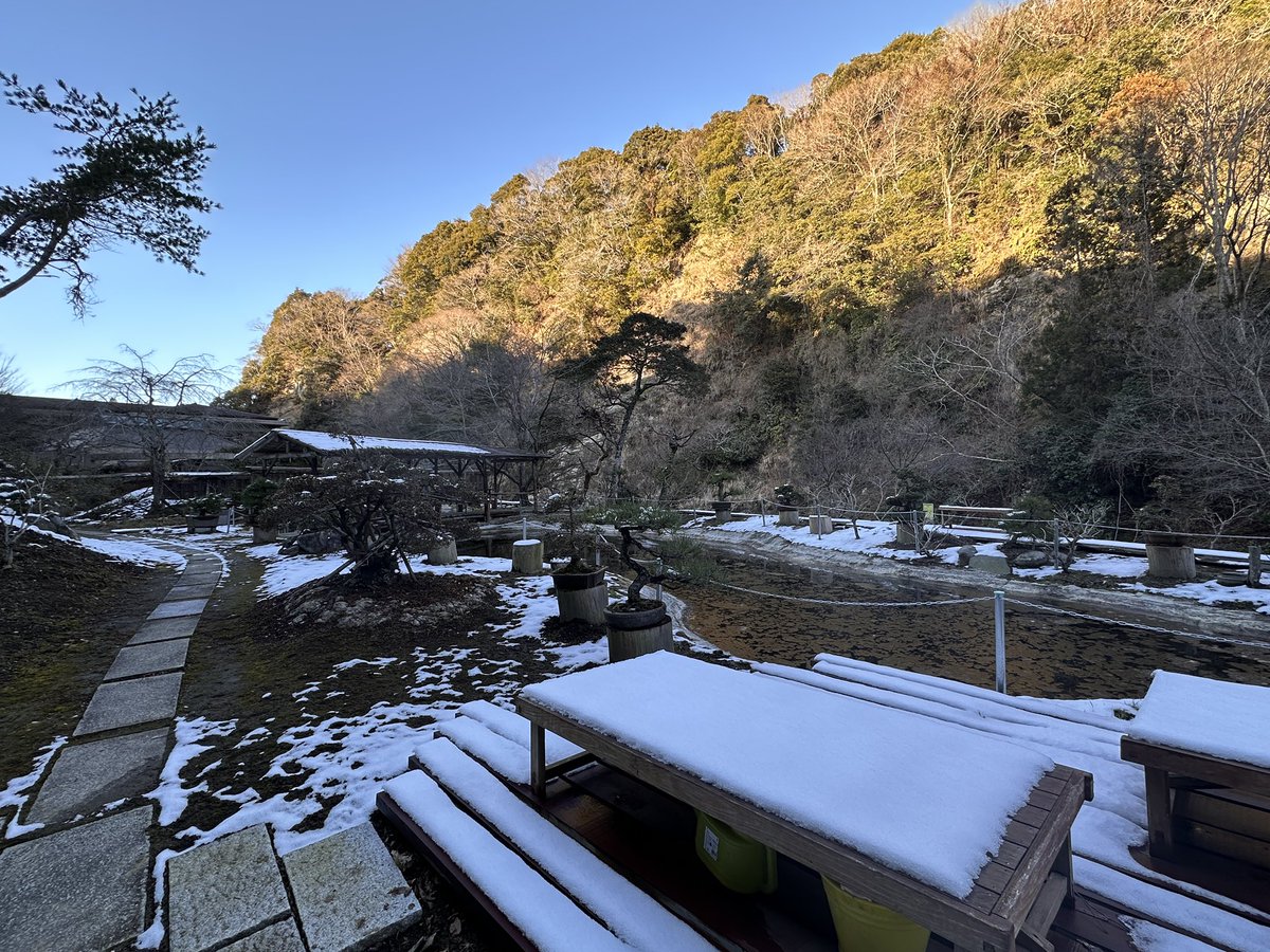 杜海玲/中国語 文筆•翻訳家 tweet media