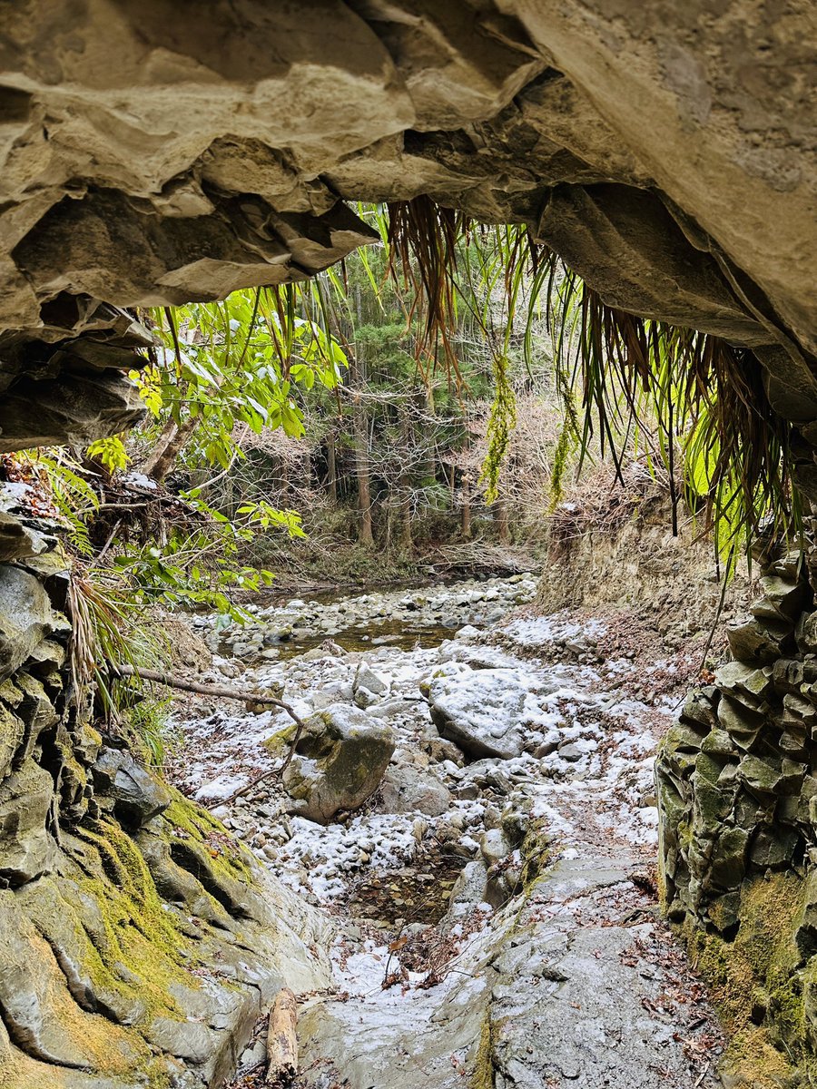 杜海玲/中国語 文筆•翻訳家 tweet media