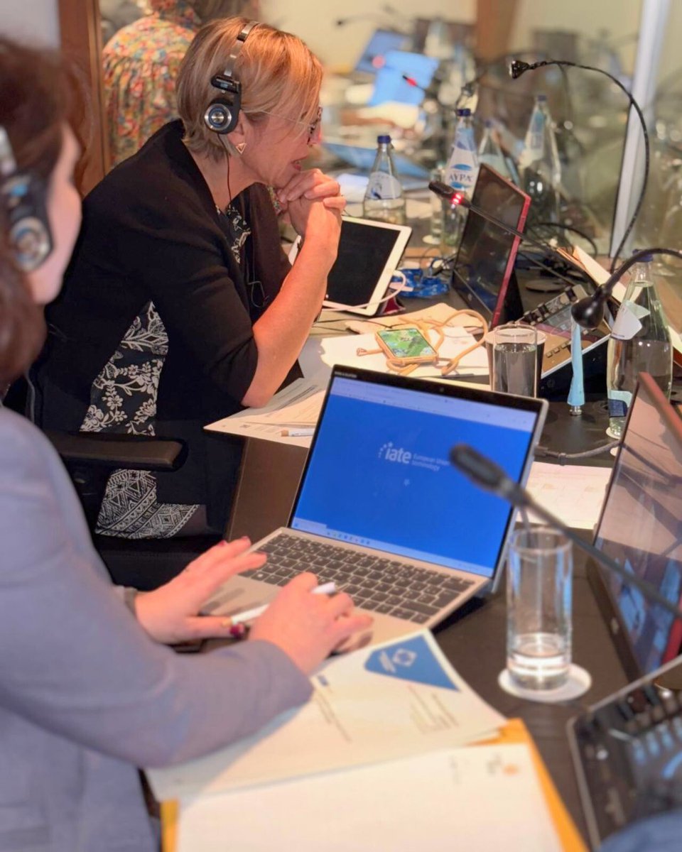 EU Interpreters tweet media