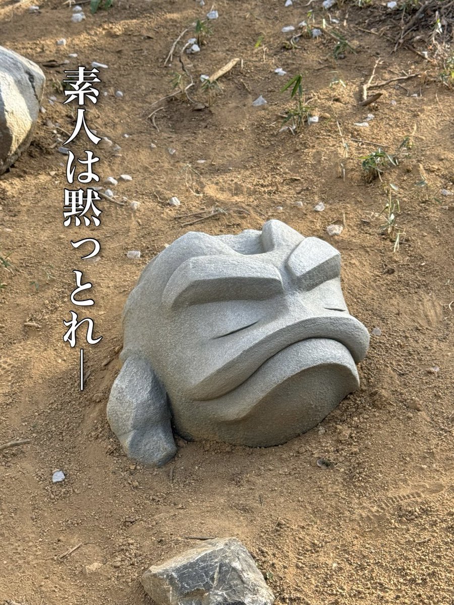 それにしか見えないイシツブテさん