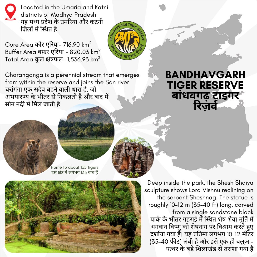 National Tiger Conservation Authority tweet media