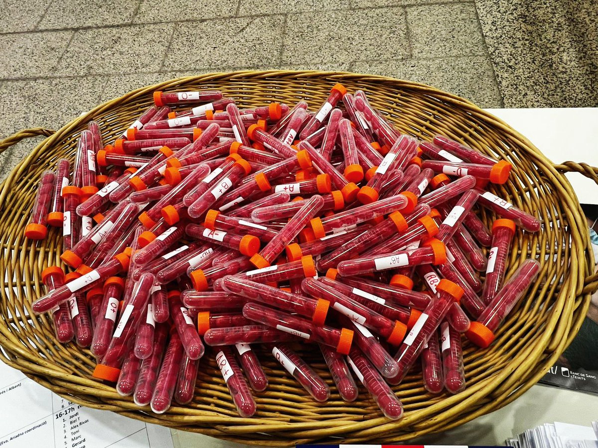 MARTORELL TV INFORMA
ESCOLES DE MARTORELL
La campanya de donació de sang de l’Escola La Mercè mobilitza més d’un centenar de persones
👇Aquí ho pots veure👇
martorelltv.com/?p=15403