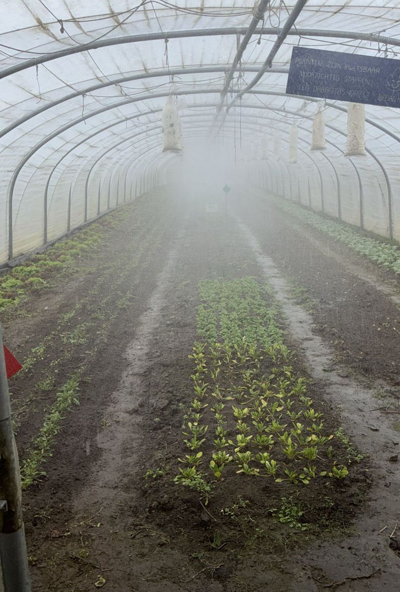 oldstreettown's tweet photo. Bio controle - boerenmarkt (wo 16u–19u)🌻 - https://t.co/2n8TRdRym1 https://t.co/oTNVMOMrs2