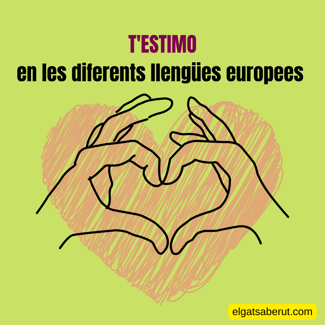 El Gat Saberut tweet media