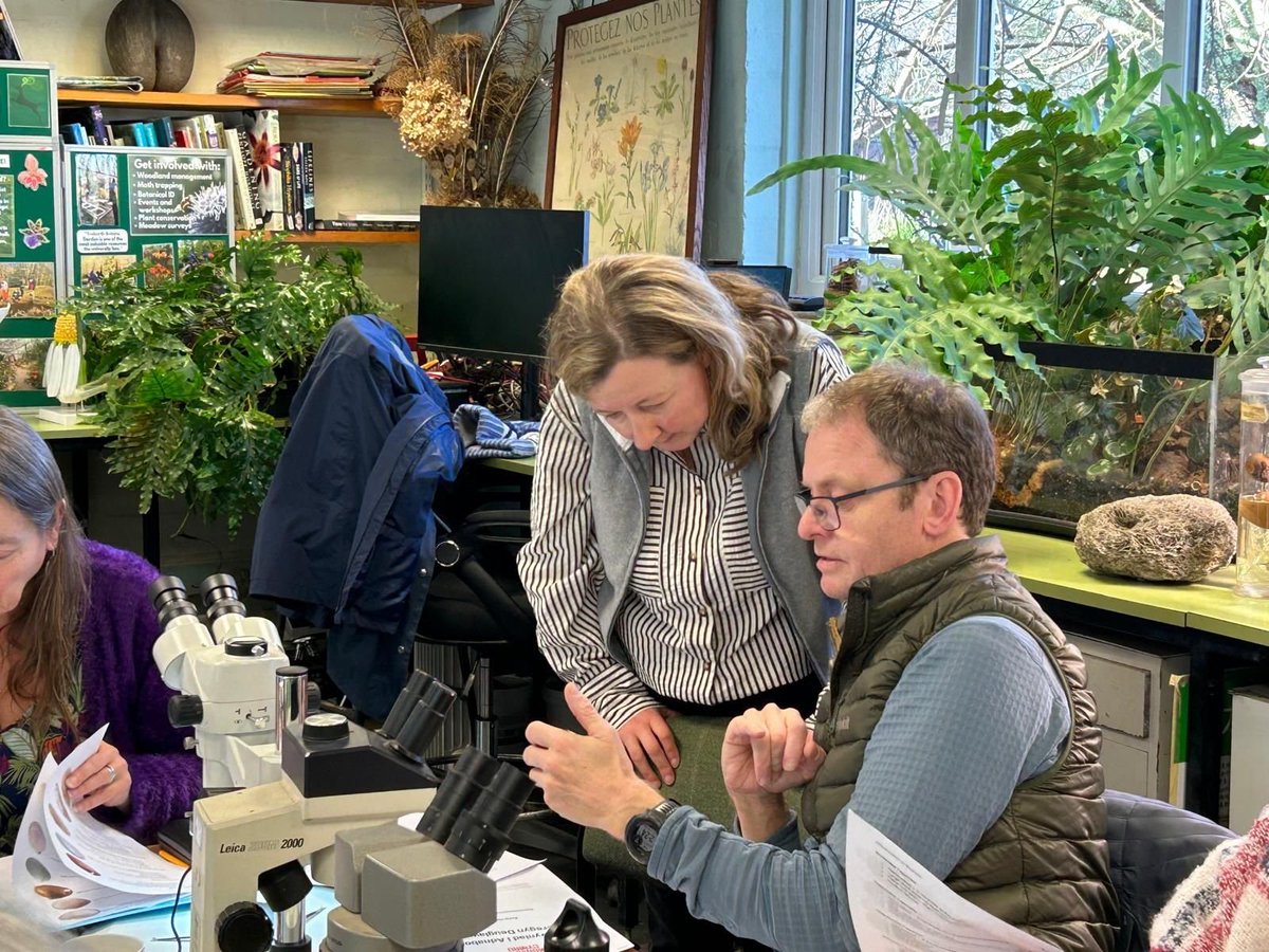 Cardiff Curator tweet media