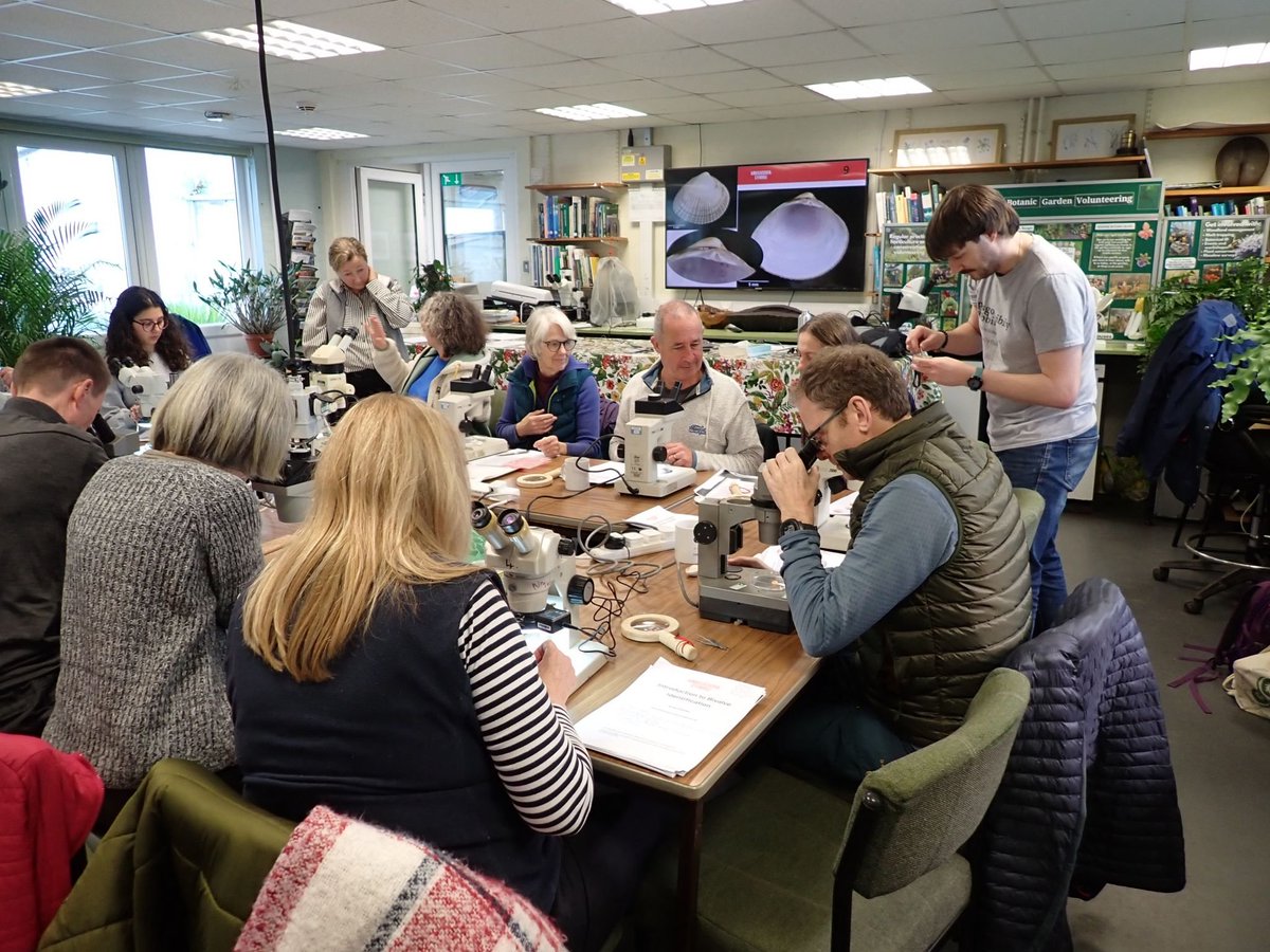 Cardiff Curator tweet media