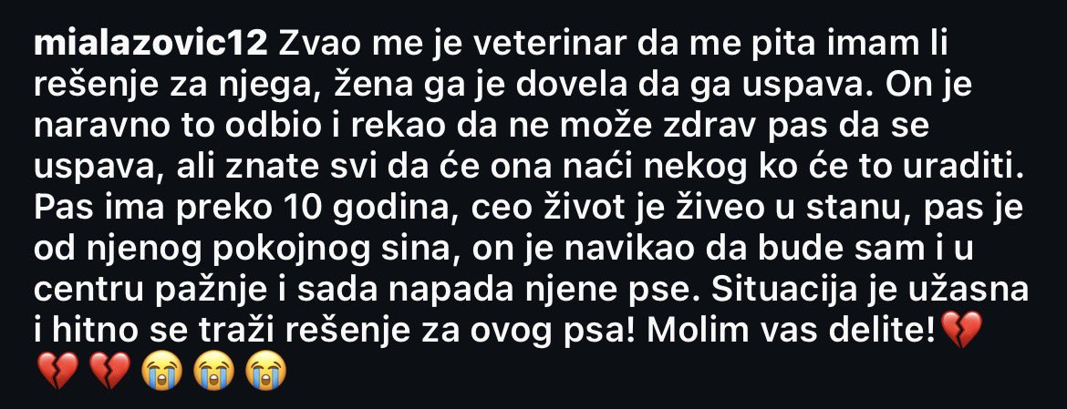 Ringišpil u glavi 🖤🤍🐈 tweet media