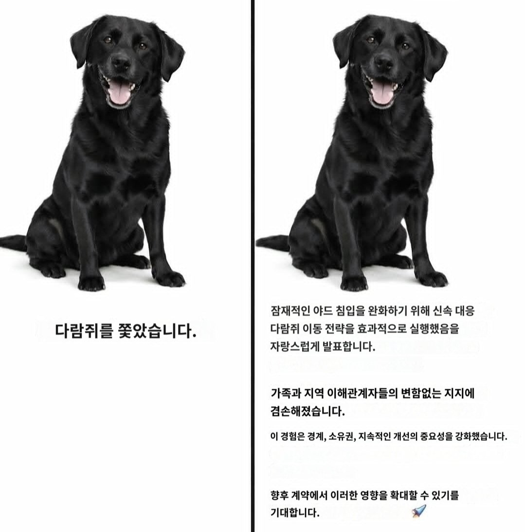 취업관련 밈 세계인 공통인게 너무 웃김