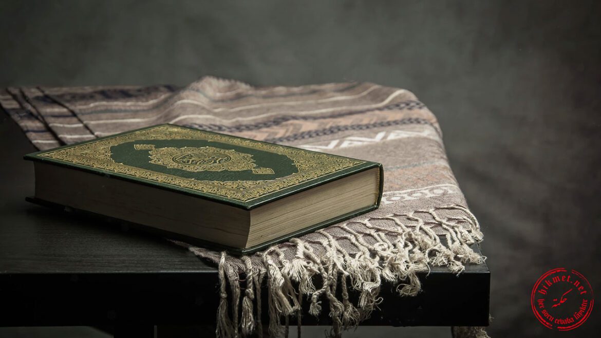 HikmetNet (Soru-Cevap) tweet media