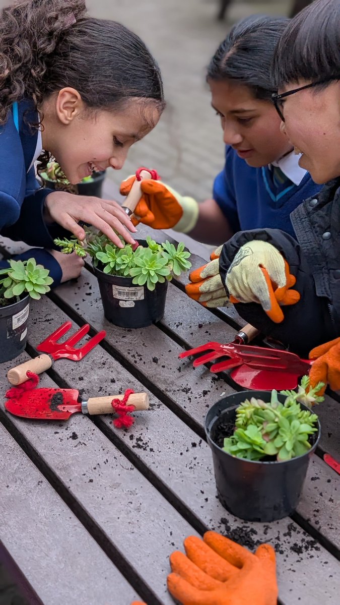 Our afterschool Gardening Club is thriving. We couldn&rsquo;t be more proud of our brilliant students! From planting and watering to designing beautiful spaces around the academy, they&rsquo;re showing fantastic teamwork every week.
 #HarrisAcademySutton&nbsp; #GardeningClub&nbsp; #AfterSchoolClub Image