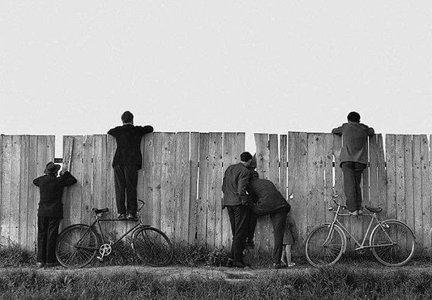 "لو تعلَّم نصف البشر عدم التدخل فيما لا يعنيهم، لعاش النصف الآخر بخير "