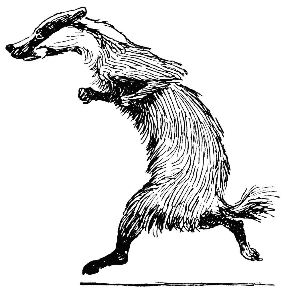 What a noble and gracious creature the badger. Dwelling in the forests, leisurely grabbing snacks, enjoying its hearth. Its kin defending Reynard, despite his notorious reputation. My friends are great Reynards. True to my form, I remain dedicated to my great tricksters.