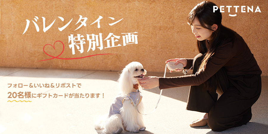 あいにゃん🐈‍⬛ (@aquao5o5) / Posts / X