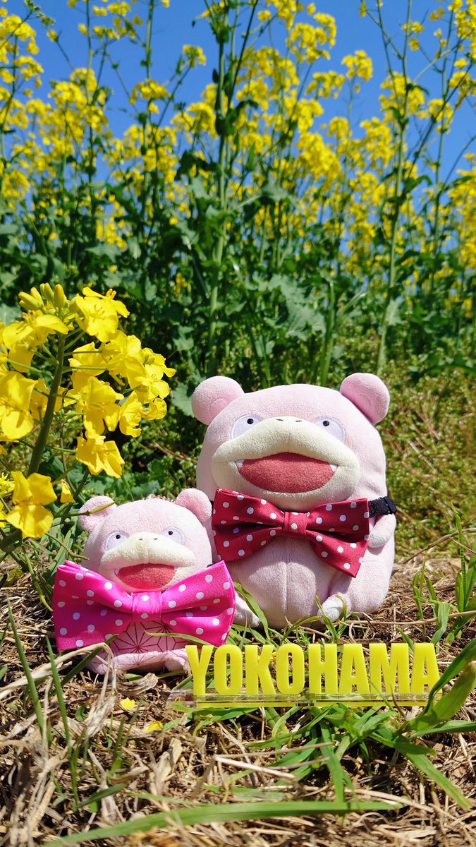 ユーキさん tweet media