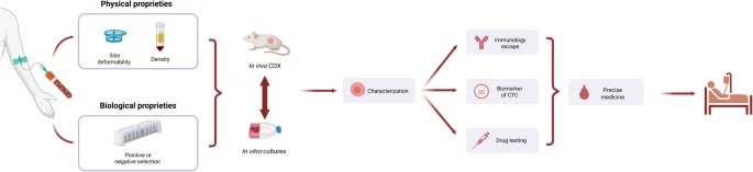 Journal of Experimental & Clinical Cancer Research tweet media