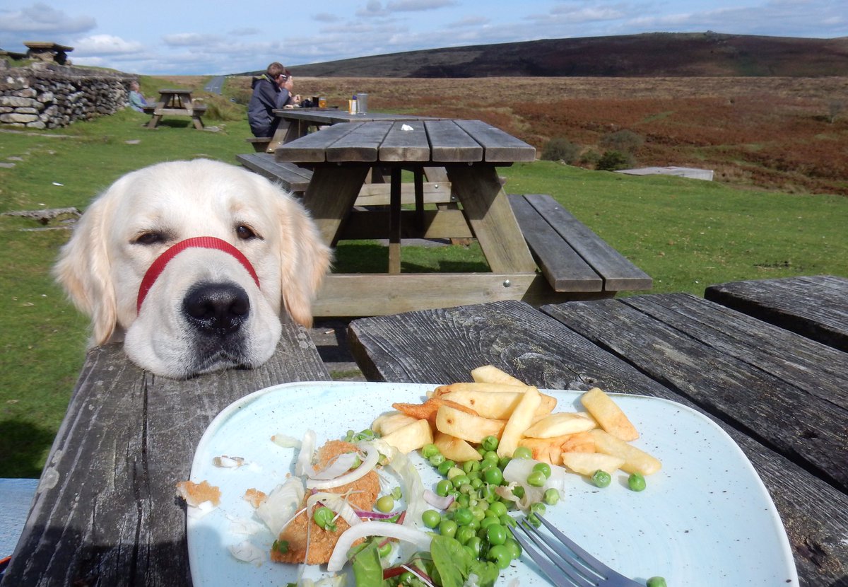 <a href="/milliemagpie92/">Janet Bray</a> It was a great day on Dartmoor, I took so many photos! Actually, I’ve just counted, it was 100!