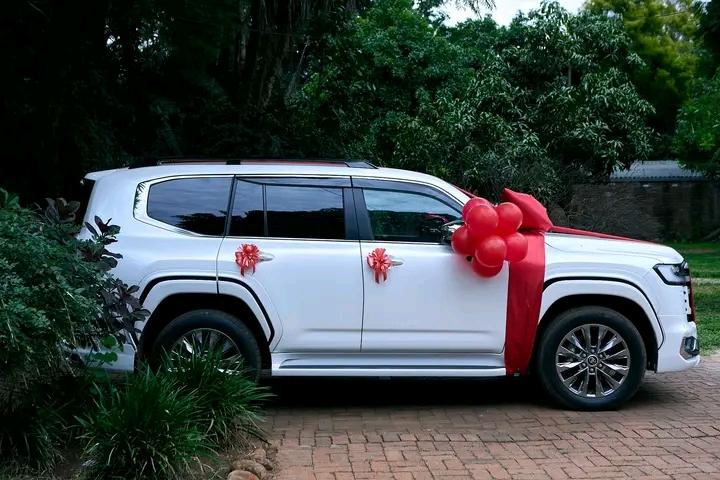 Dandaro Online tweet media