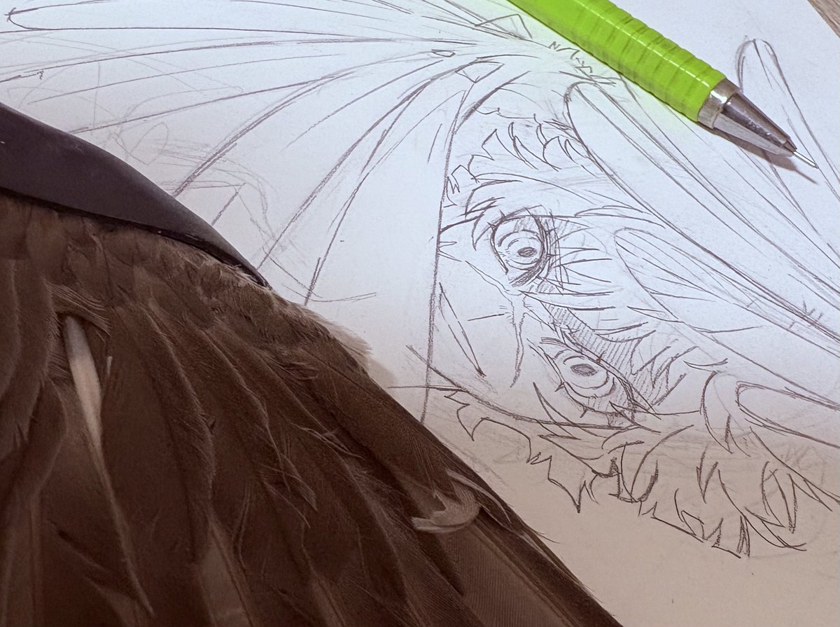 巻き貝 tweet media