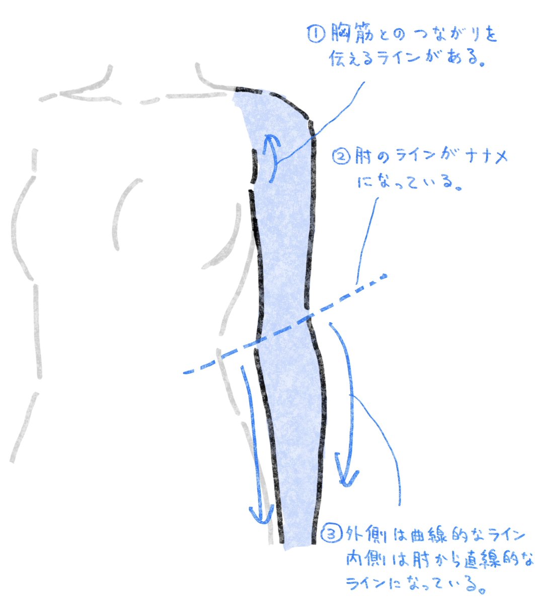 腕が棒みたいになっちゃうときにどうぞ。
＃それっぽく描くコツ