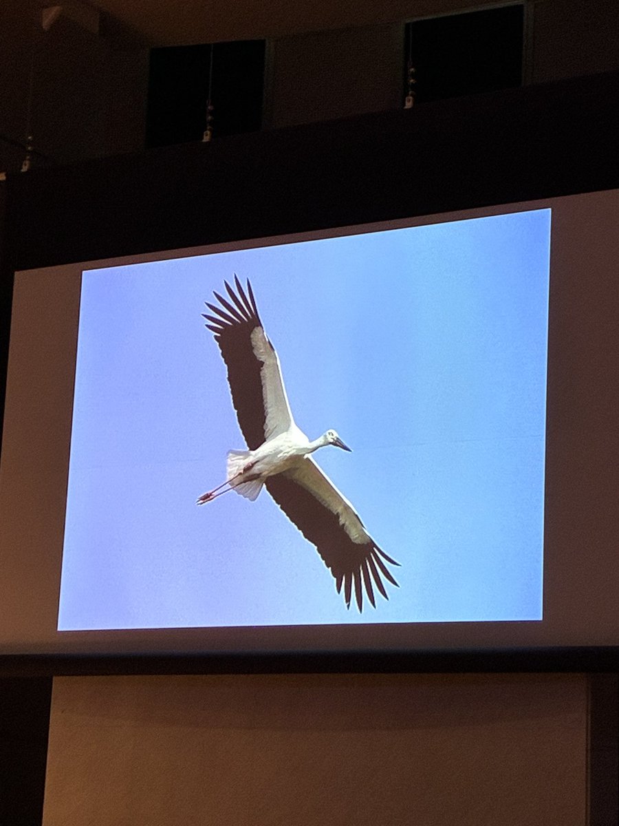 青山の国連大学の裏手に東京ウィメンズプラザがあって初めて訪ねた。「小さな世界都市　豊岡、女性とコウノトリが運ぶ組織風土改革」というトークイベント。中貝宗治元市長、英国国王も使うハンガーを作る中田工芸の中田社長、有森裕子さんらが登壇して、小さな世界都市豊岡とフェアネスを語る。