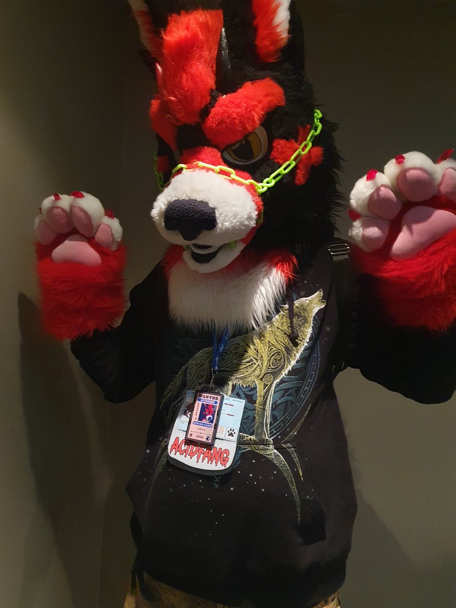 Ikas_Wolf's tweet photo. Next batch of Scotiacon pictures 😊

Again if you see anyone you know please feel free to tag them or let them know they have a picture here for them ^^ https://t.co/ErXa9HAx0s