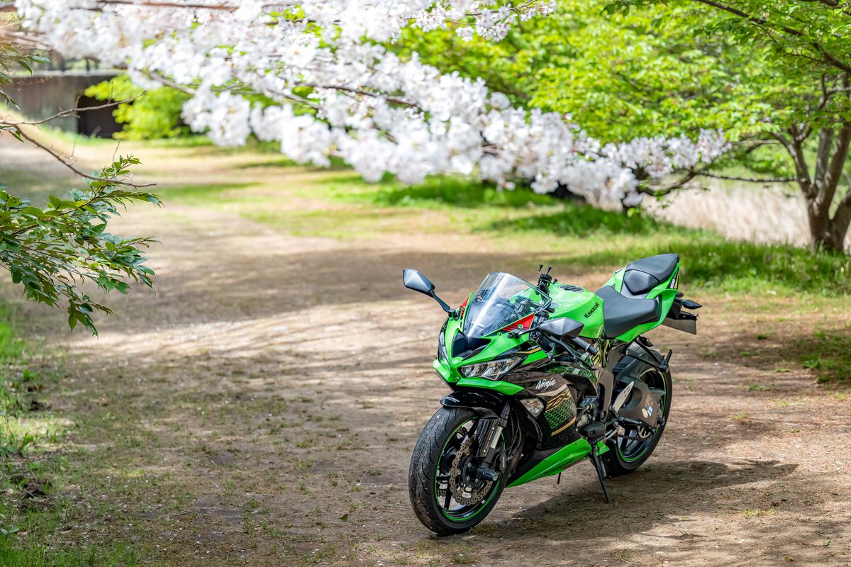 ウケなくてもいいので好みのアングルを貼り逃げる