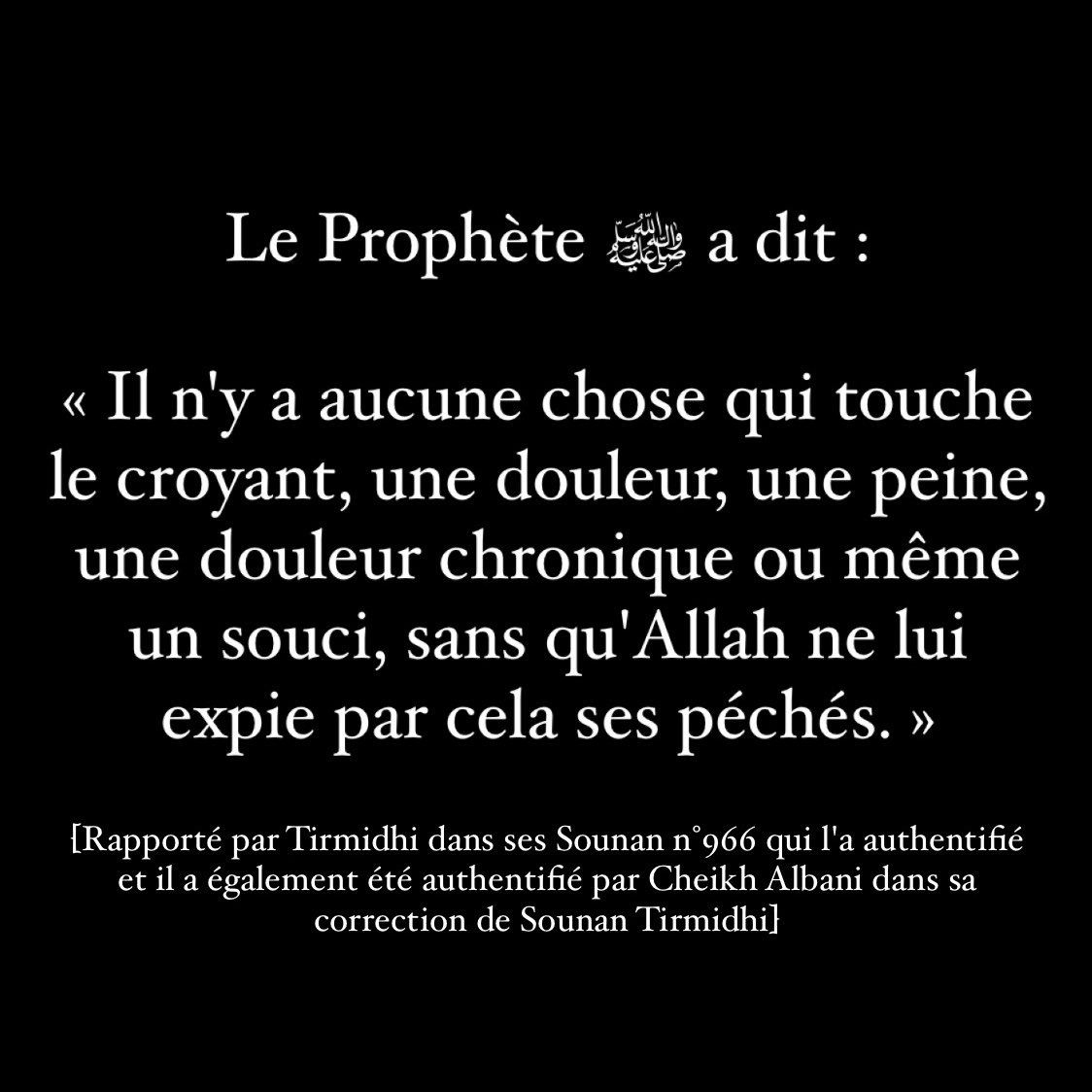 tonrappeldujour's tweet photo. https://t.co/9udO1nY9BD