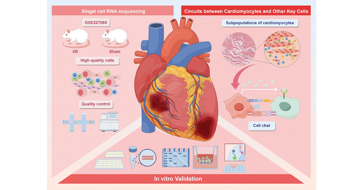 BIOIntegration tweet media