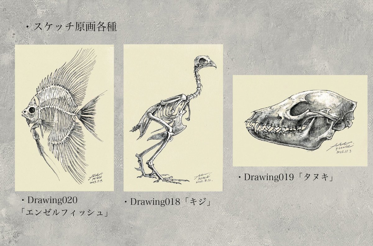 【通販のお知らせ】
2月21日(土)21:00〜BOOTHにて通販を行います。甲冑魚全種とスケッチ原画の販売になります。気になる方は是非チェックよろしくお願いします〜🐟↓↓

<通販ページ>
tora-kiji.booth.pm
(現在はクローズ中)