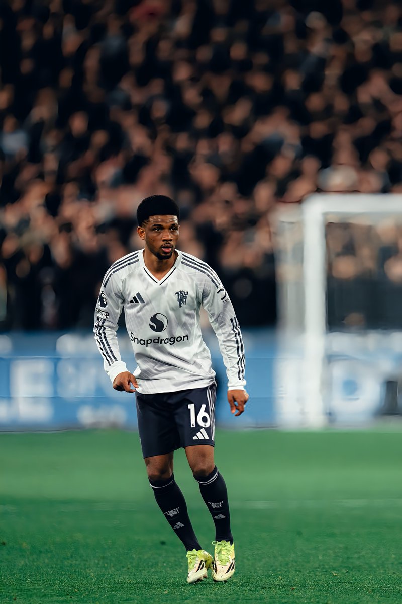 Boy Chester 💤 tweet media