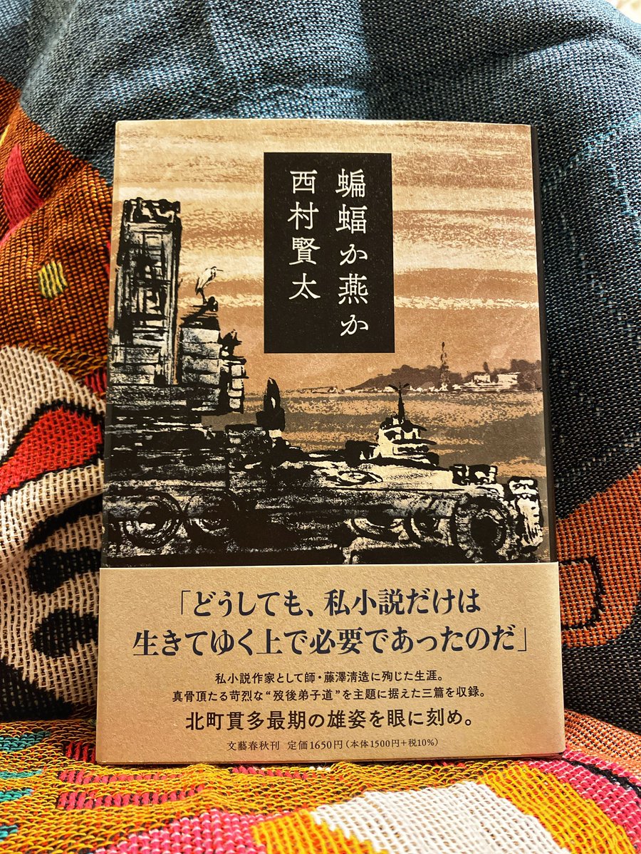 _sadness666_'s tweet photo. 蝙蝠か燕か
読み終わった！西村賢太まじでおもしろいな https://t.co/XsEjykYOYk
