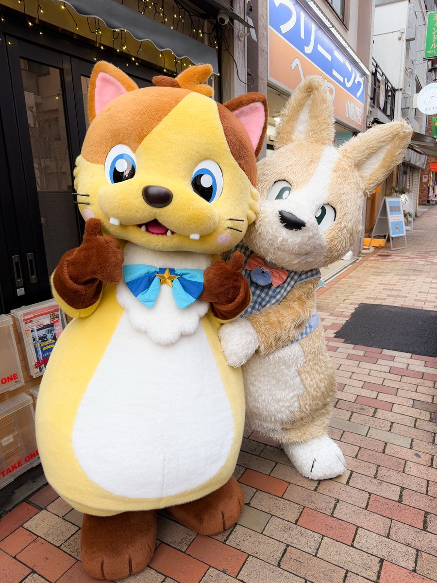 Bisuke (@BeeHappy23) / Posts / X