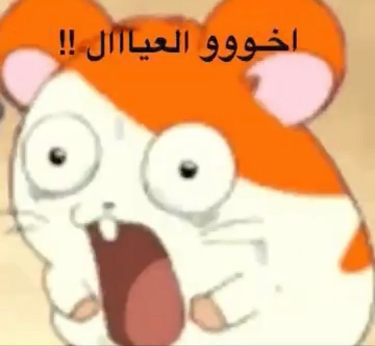 mox1281's tweet photo. الجراح مسوي نفسه مصدوم من ال complication 
#progress_test https://t.co/n6UJ0DbAyc