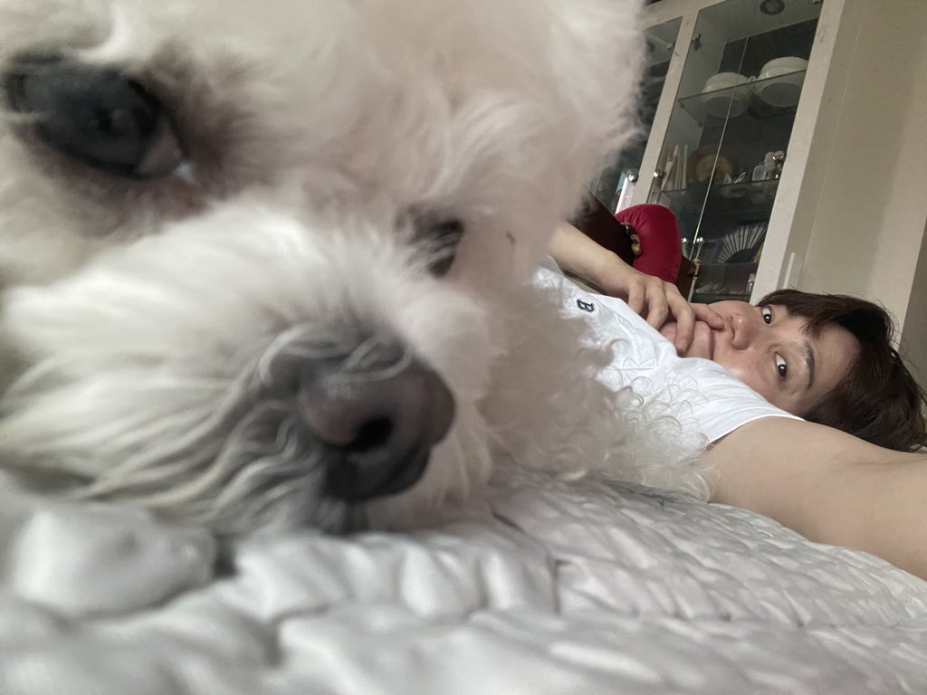 이런 구도 사진 너무 조음 …